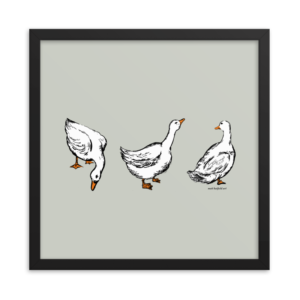 Ducks-Illustration-by-Matt-Hatfield