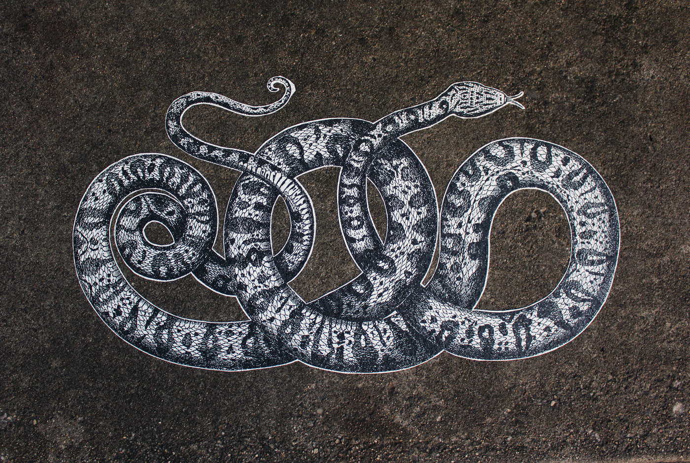 Snake Illustration on Outdoor Concrete Sidewalk