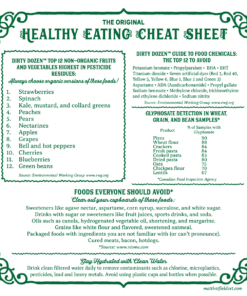 Healthy-Eating-Cheat-Sheet-Fridge-Magnet